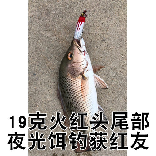 海南钓gt牛港专用广东广西浮水米诺路亚饵26克狼鲈鱼翘嘴侍魂假饵 - 图1
