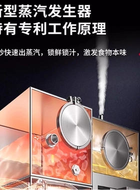九鼎王三门海鲜蒸柜商用电蒸燃气
