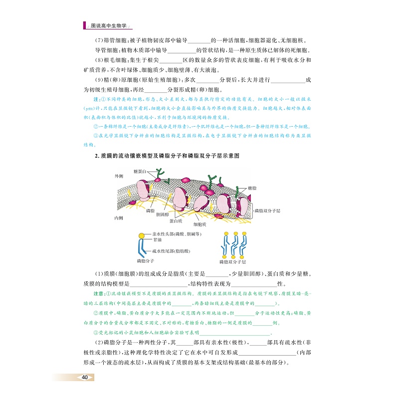 图说高中生物学/浙大理科优学/彩图版/朱鹤鸣/浙江大学出版社/附参考答案与解析/图表归纳/注说分析 - 图3