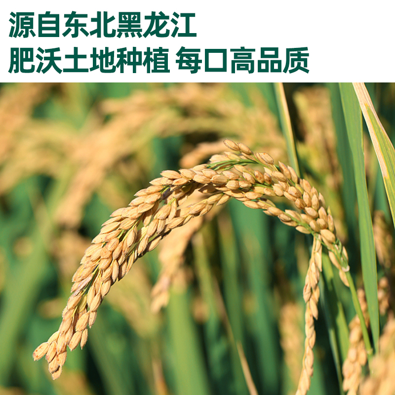 英氏婴儿糙米谷物棒手指泡芙儿童零食米果棒磨牙饼干