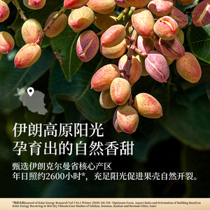 良品铺子罐装开心果原色无漂白大颗粒坚果炒货高蛋白健康休闲零食