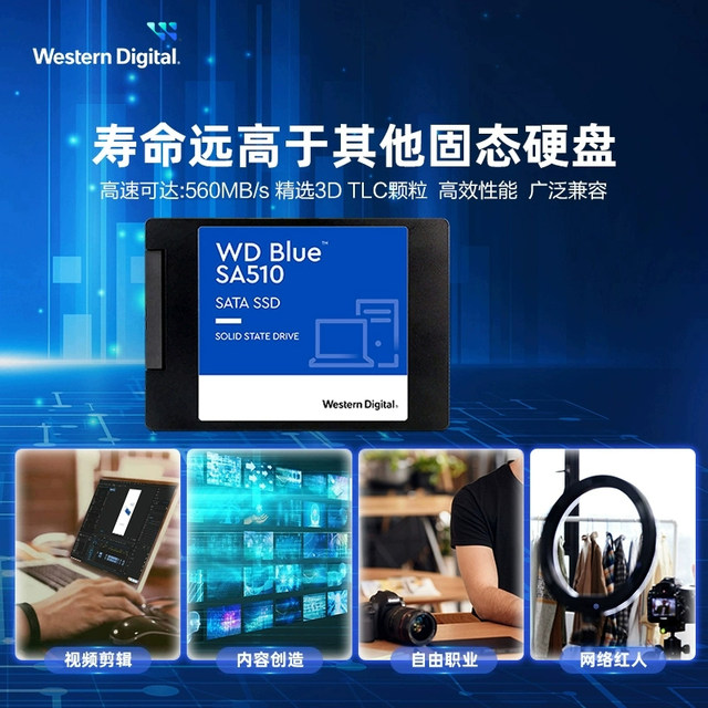 WD Western Digital Solid State Drive SA510