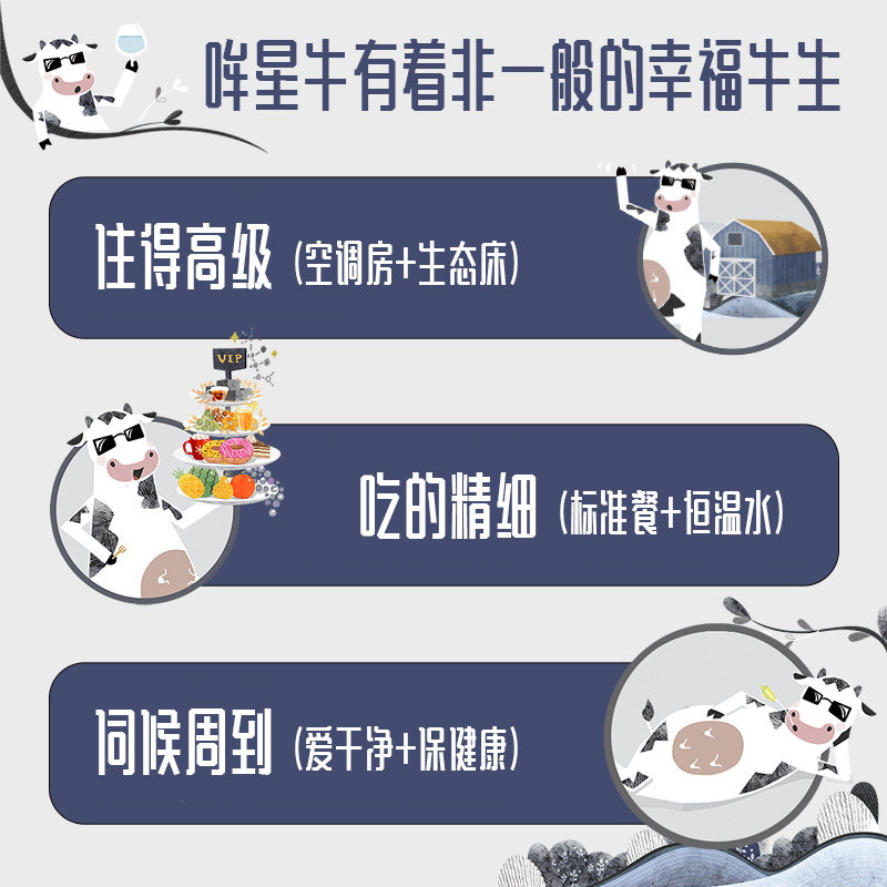 君乐宝遇见奶牛纯牛奶200ml*24盒早餐营养纯牛奶家庭装