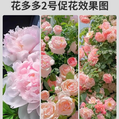 DWD德沃多肥料花多多1号2号10号绿植蝴蝶兰月季多肉通用水溶肥 - 图1