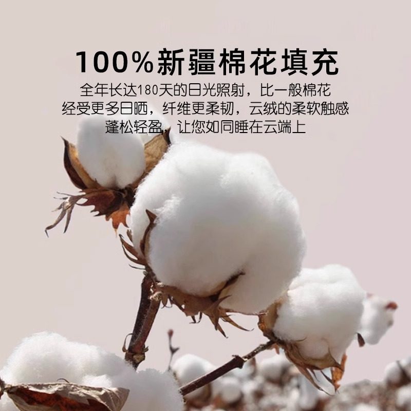 红豆冬被新疆纯棉花被子被芯棉被棉絮秋冬季加厚保暖学生春秋被褥,淘宝优惠券,粉丝福利购,淘宝优惠卷