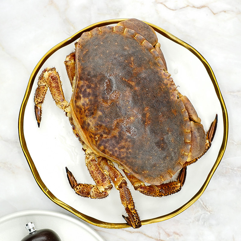 渔传播【活鲜次日达】英国大面包蟹黄道蟹包新鲜不包活 母蟹,淘宝优惠券,粉丝福利购,淘宝优惠卷