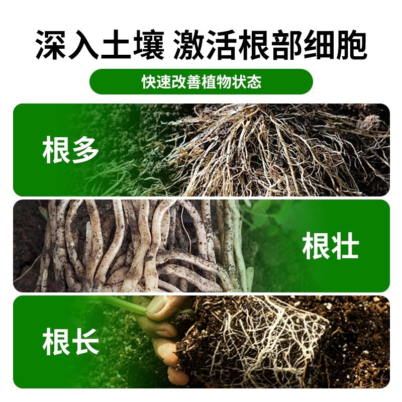 生根液花卉植物通用快速生根粉生根水强力扦插移栽专用生根壮苗剂,淘宝优惠券,粉丝福利购,淘宝优惠卷