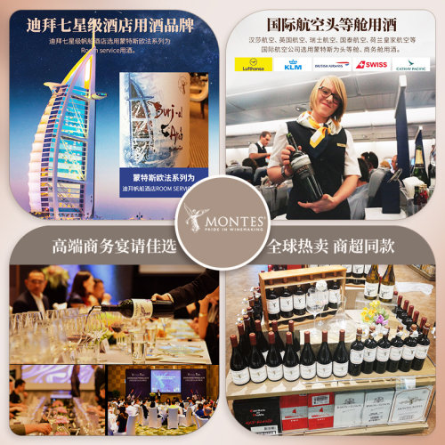 montes蒙特斯限量精选赤霞珠混酿红葡萄酒750ml智利原瓶进口红酒 - 图2