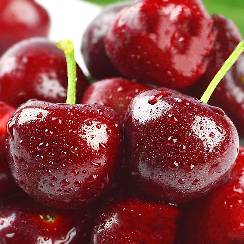 【顺丰空运】大连美早樱桃国产车厘子新鲜应季水果当季生鲜,淘宝优惠券,粉丝福利购,淘宝优惠卷