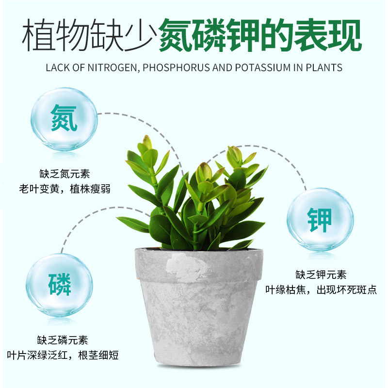 【单品包邮】德沃多肥料花多多1号2号水溶肥植物盆栽月季复合肥-图3