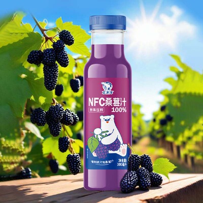 北冰洋100%NFC鲜果桑葚汁