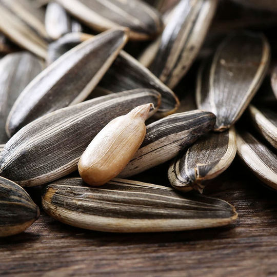 Qiaqia melon seeds wholesale small package roasted seeds and nuts