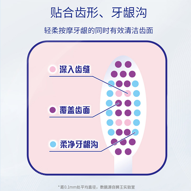 LION狮王细齿洁羽纤抗敏牙刷细毛软毛家庭装弹力刷柄护龈清洁2支 - 图1