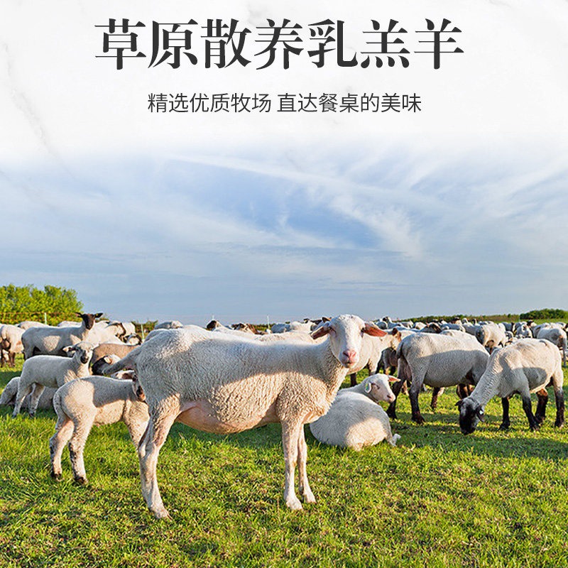 加州牛仔原切草原半只羊10斤内蒙羔羊新鲜羊排羊蝎子羊腿火锅食材,淘宝优惠券,粉丝福利购,淘宝优惠卷