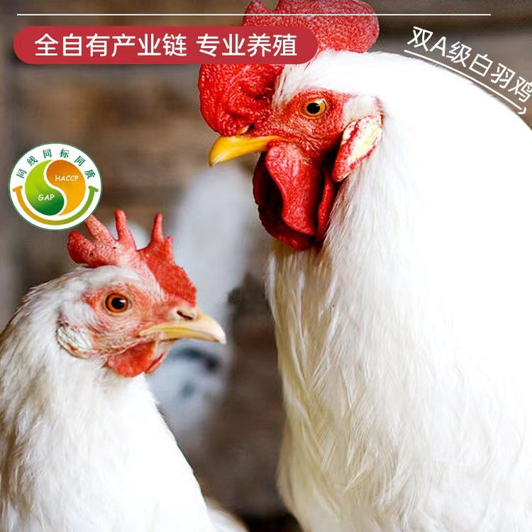 CP正大鸡胸肉8斤 500g*8袋去皮新鲜鸡肉冷冻生鲜鸡脯肉生鸡肉健康,淘宝优惠券,粉丝福利购,淘宝优惠卷