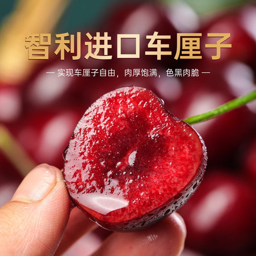 【甜蜜送礼佳品】智利进口车厘子新鲜水果色泽艳丽礼盒发货 - 图1
