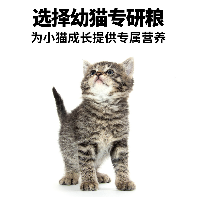 诚实一口K01 PLUS幼猫孕猫专用鲜肉羊奶粉配方猫粮1.5kg*4包 - 图2