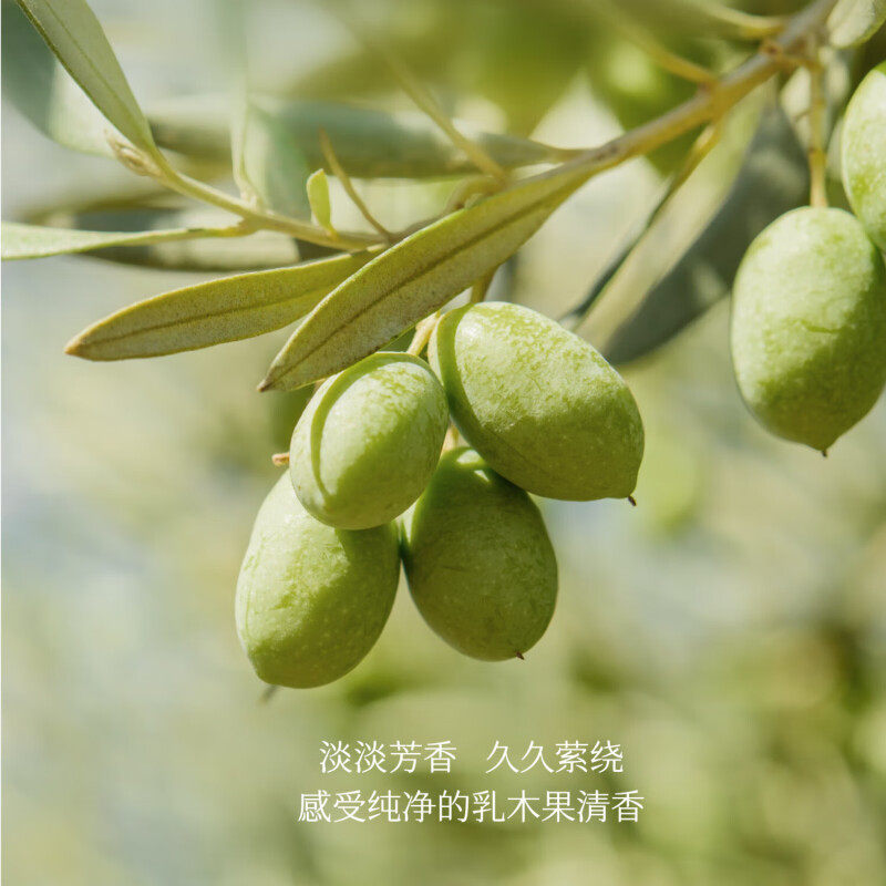 半亩花田乳木果身体磨砂膏去角质滋润搓澡全身沐浴露男女洗澡搓泥,淘宝优惠券,粉丝福利购,淘宝优惠卷