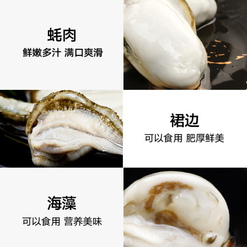 喵满分鲜活乳山生蚝4XL净重5斤8-12个新鲜牡蛎产地直发水产海蛎子-图1