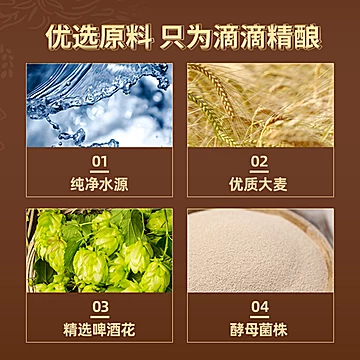 奥丁格世涛精酿16.5&deg;P黑啤酒烈性500ml*3罐[15元优惠券]-寻折猪