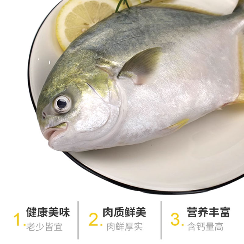 环球水产南海金鲳鱼500g 2条装BAP认证生鲜鱼类深海鱼健康轻食 - 图1