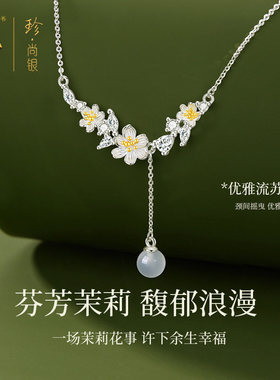 珍尚银S925银色玉髓锆石锁骨链