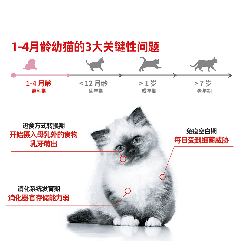 皇家RoyalCanin猫罐头离乳期幼猫慕斯奶糕罐头195g-图0