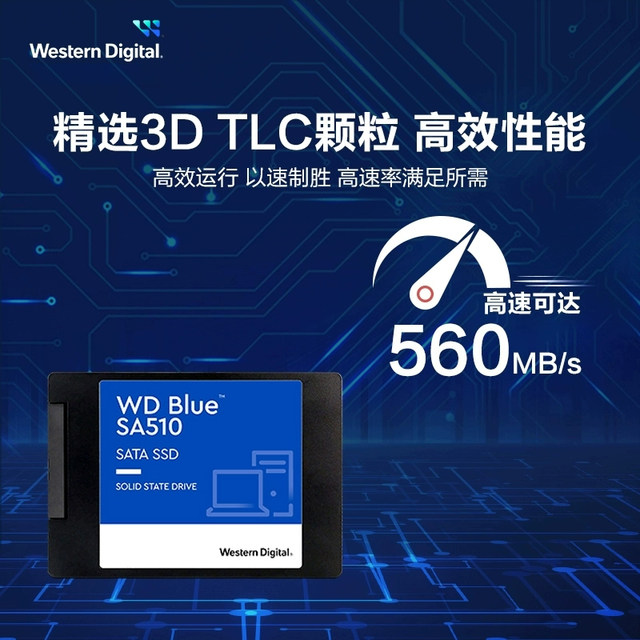 WD Western Digital Solid State Drive SA510