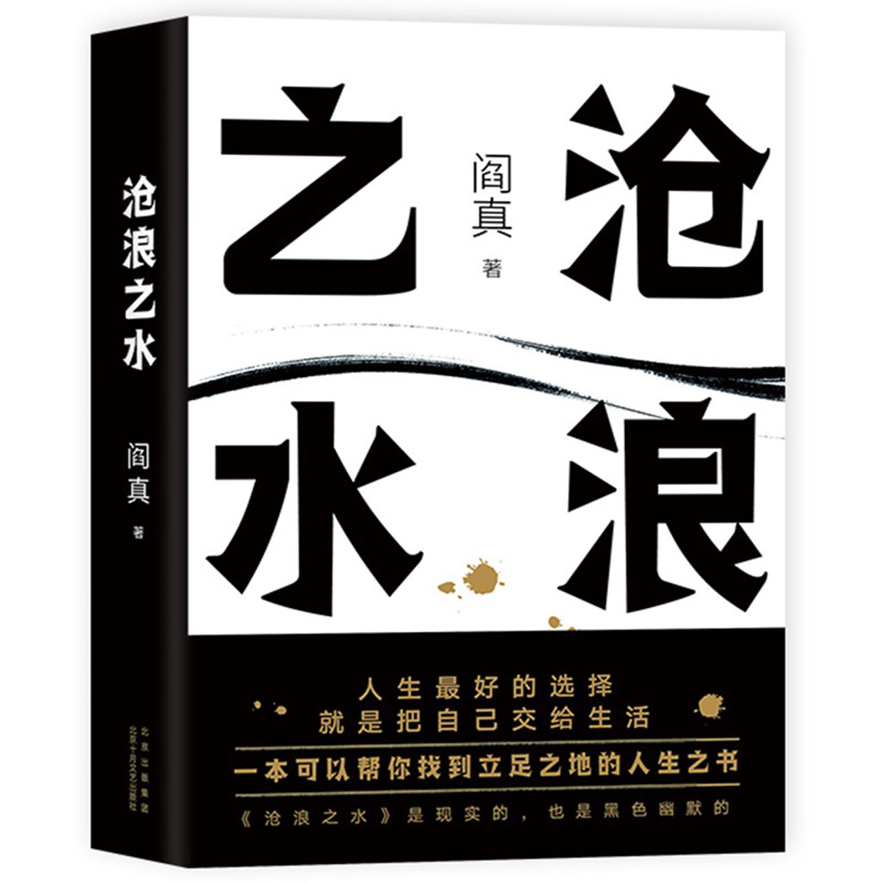 沧浪之水阎真著官场现当代爱情小说名家长篇人情小说新华书店-图3