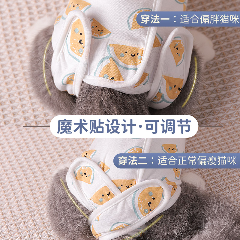 猫咪绝育服猫衣服薄款宠物蓝猫布偶母猫术后服手术衣防掉毛春秋款-图0