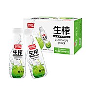 盼盼椰子汁植物蛋白饮料500ml*15瓶