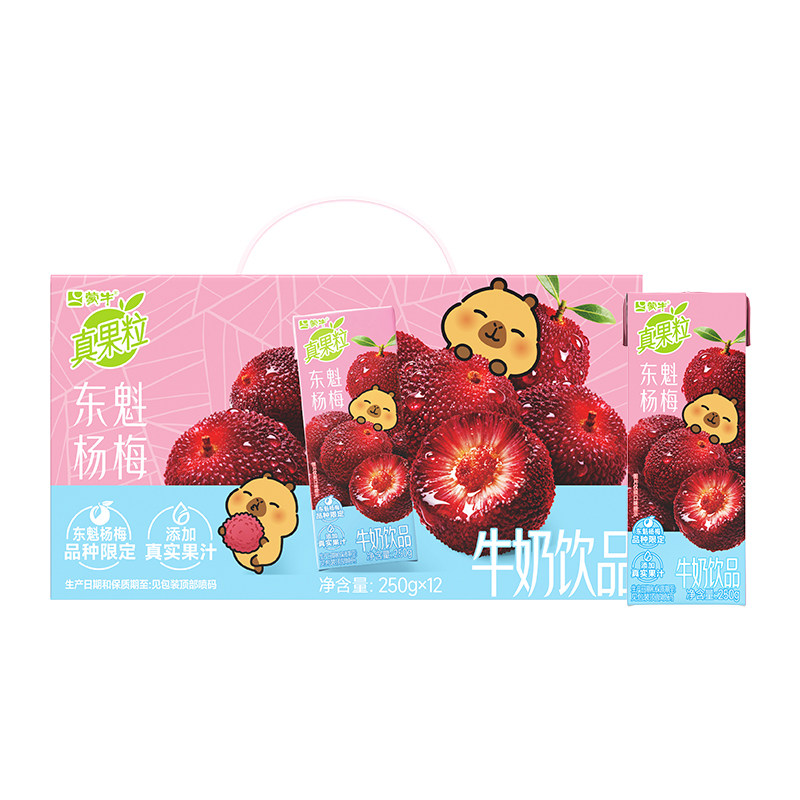 蒙牛真果粒牛奶饮品东魁杨梅味含乳饮料250g×12包卡皮巴拉定制装 味拉实拍商品图