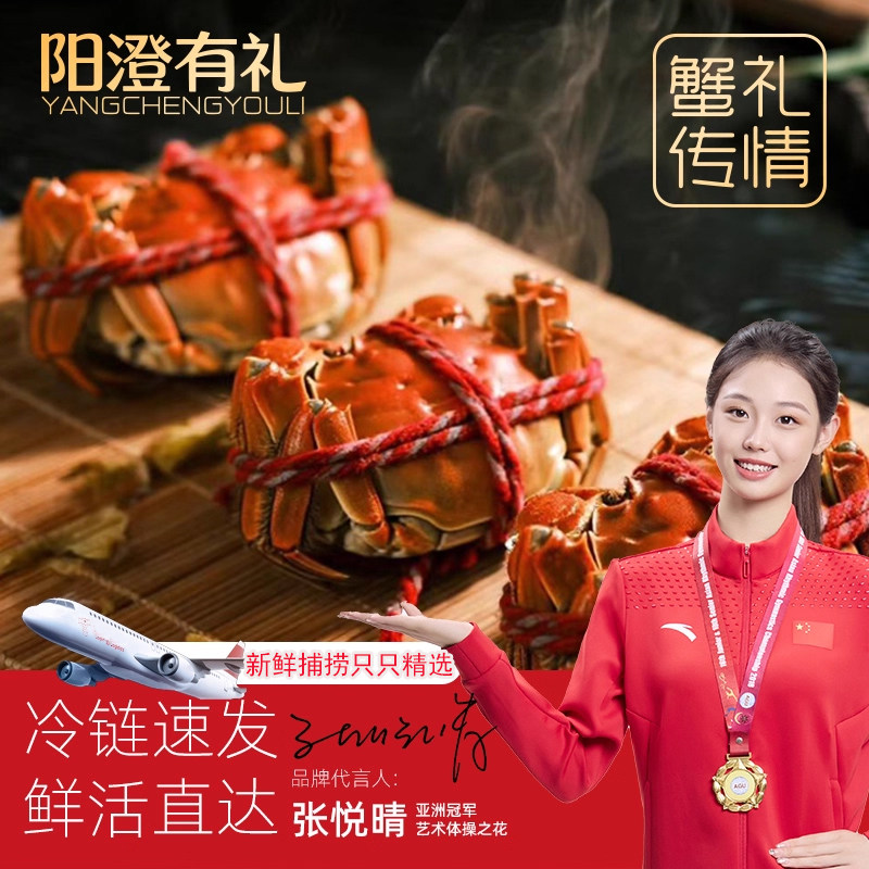 【活蟹现发】阳澄有礼大闸蟹礼盒装特大鲜活螃蟹去绳净重足两速发,淘宝优惠券,粉丝福利购,淘宝优惠卷