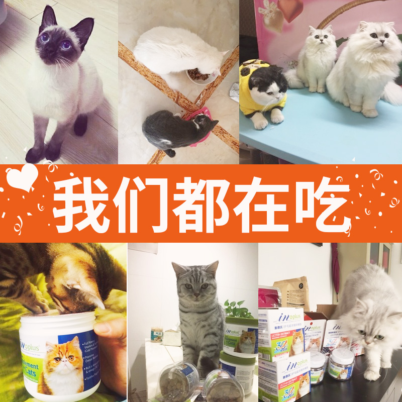 麦德氏卵磷脂猫专用500g鱼油猫咪亮眼美毛粉防掉毛软磷脂颗粒-图3