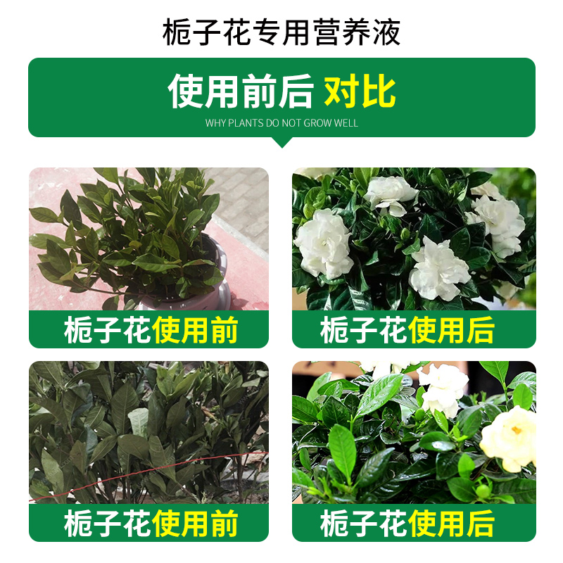 【一件包邮】德沃多栀子花肥料专用肥营养液开花防黄叶茉莉花家用