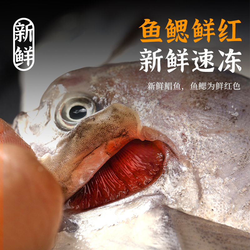 遇上鲜银鲳鱼新鲜冷冻舟山海鲜昌扁鱼鲜活速冻水产平鱼大白鲳鱼,淘宝优惠券,粉丝福利购,淘宝优惠卷