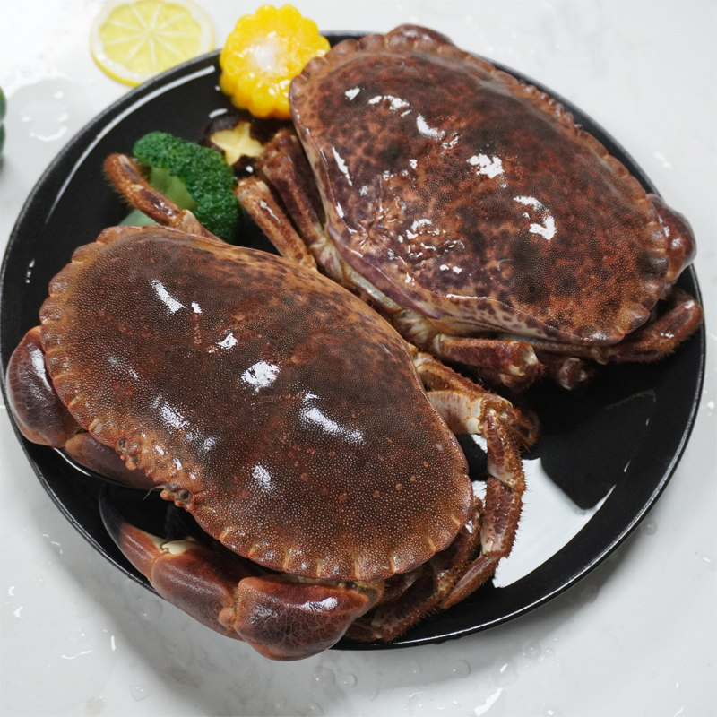 渔传播【活鲜次日达】英国大面包蟹黄道蟹包新鲜不包活 母蟹,淘宝优惠券,粉丝福利购,淘宝优惠卷