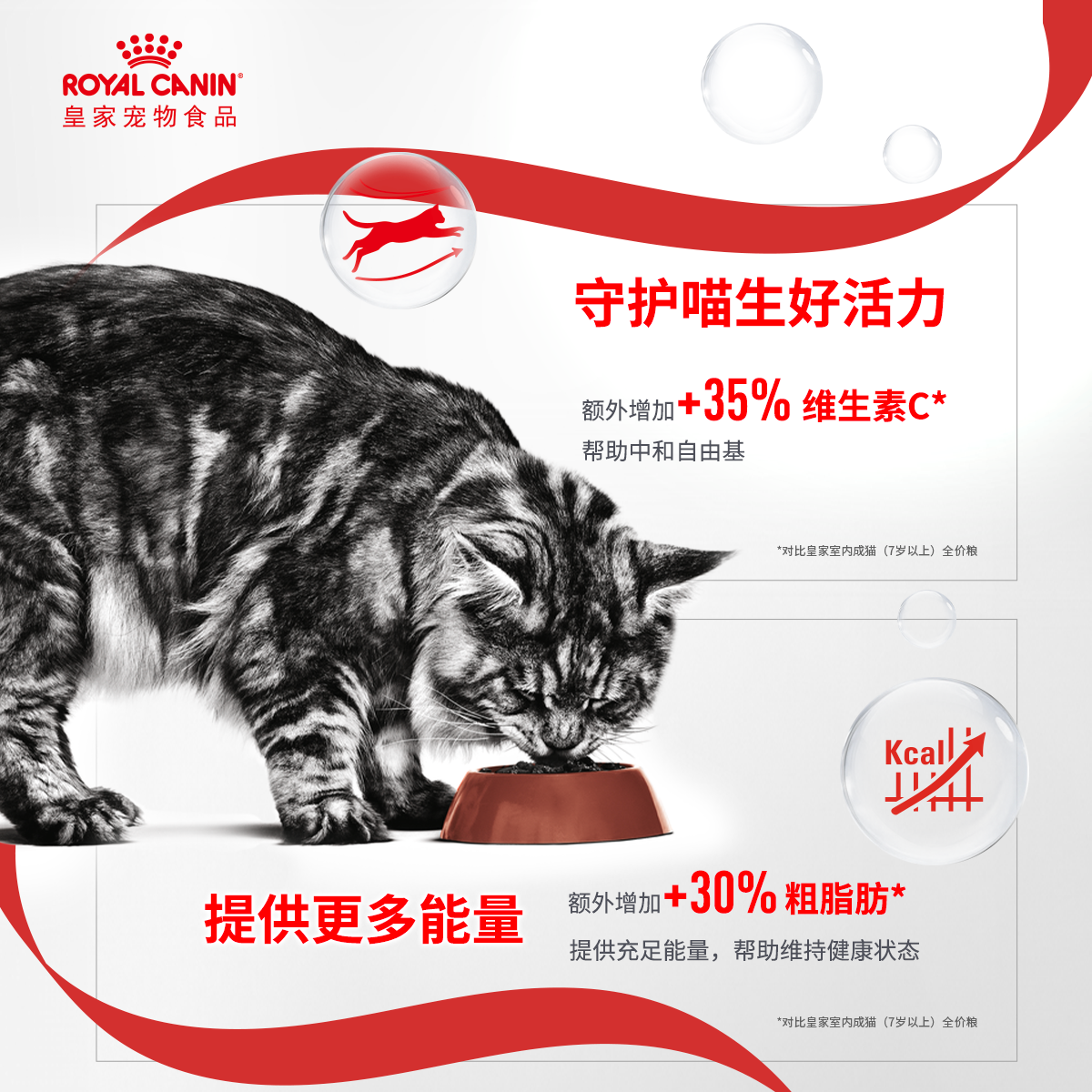 【尝鲜试吃】皇家11岁以上成猫老年猫英短美短布偶通用粮试吃装,淘宝优惠券,粉丝福利购,淘宝优惠卷