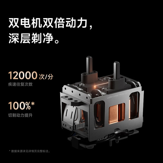 Leifen reciprocating wet and dry shaver