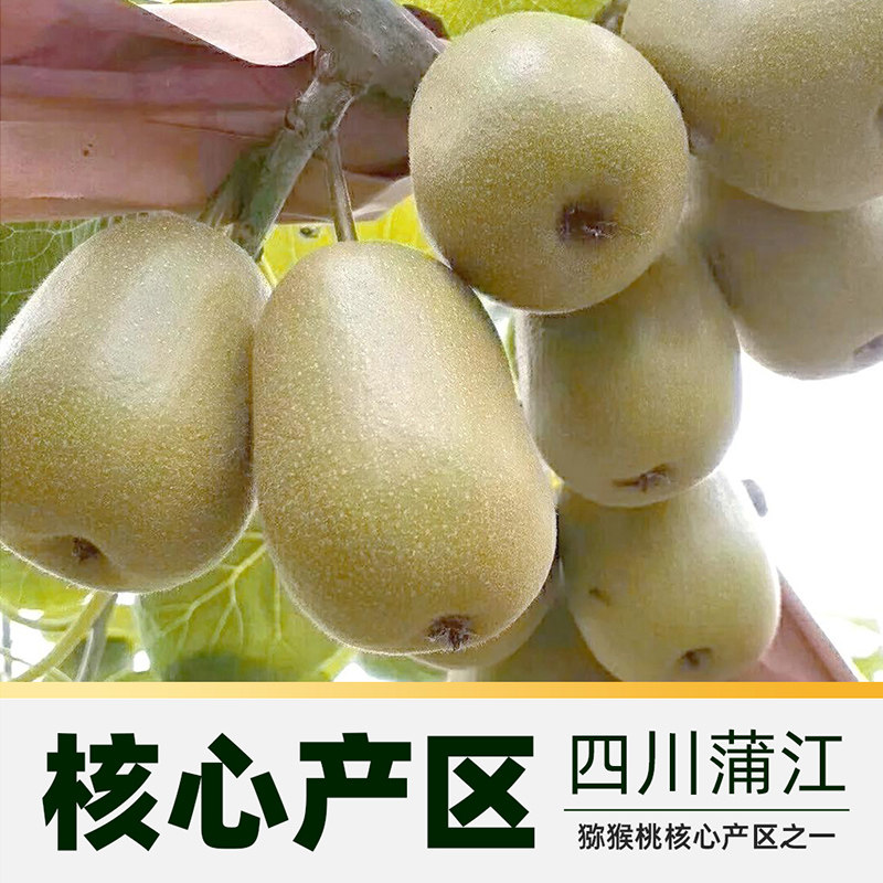 图 3