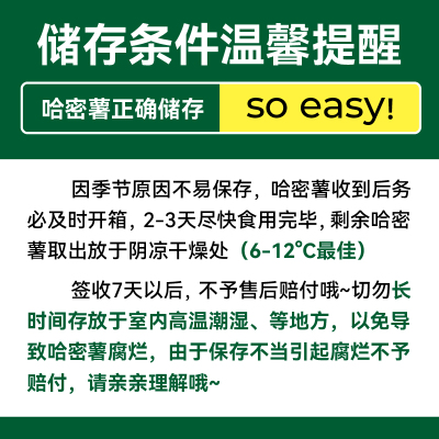 GREER绿行者哈密冰糖薯新鲜