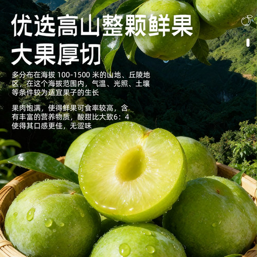 溜溜梅厚清梅条无核大果厚切果脯类零食办公分享户外出行劲嚼 - 图0