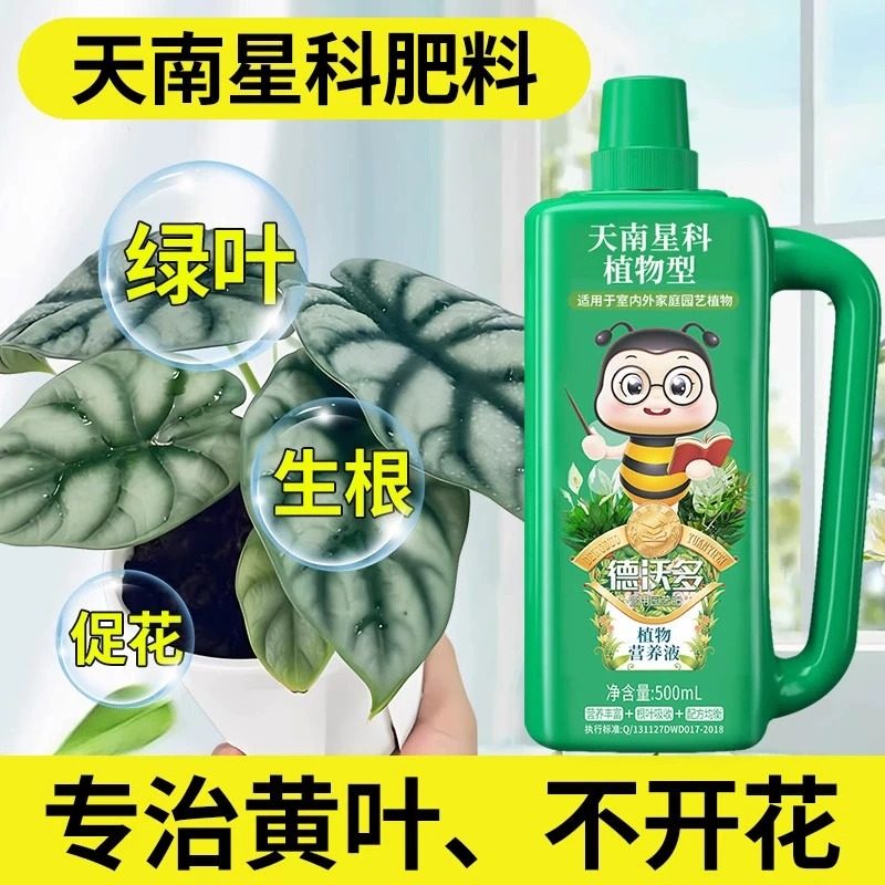 【顺丰包邮】南天星植物专用肥龟背竹专用营养液天南星科琴叶榕盆,淘宝优惠券,粉丝福利购,淘宝优惠卷