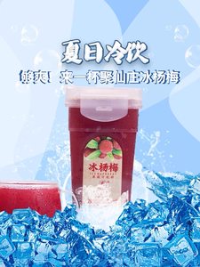 聚仙庄冰杨梅汁6瓶果蔬汁饮料网红纯果汁380ml*6瓶