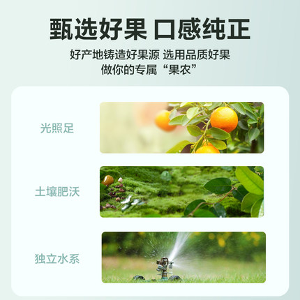 汇源果汁100%臻贵礼盒1000ml*5盒口味随机不确定年货礼盒 - 图0