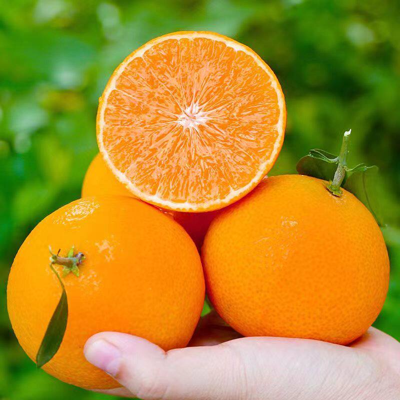 四川爱媛38号果冻橙应季新鲜水果橙子水果整箱当季橘子桔子包邮,淘宝优惠券,粉丝福利购,淘宝优惠卷