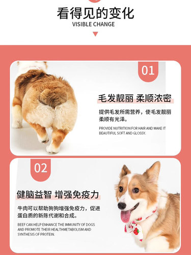 冻干狗粮通用型10斤装泰迪幼犬比熊成犬普通大型小型犬专用粮5kg