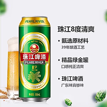 珠江啤酒8度清爽绿金罐500ml*12罐[5元优惠券]-寻折猪