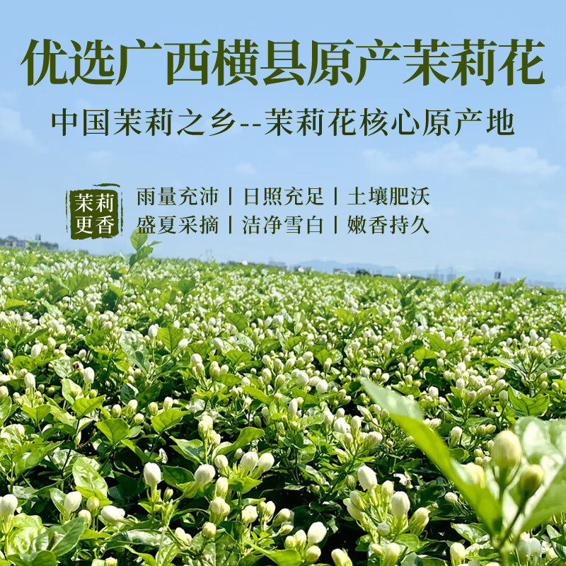 茉莉花茶特级浓香型新茶2025特一级方官正旗品舰店飘雪非横县绿茶,淘宝优惠券,粉丝福利购,淘宝优惠卷