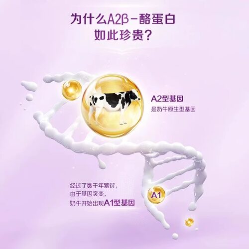 【重磅新品】伊利A2β酪蛋白纯牛奶200ml*24盒整箱营养早餐2月产 - 图1